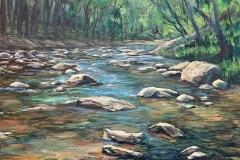 River with many rocks and trees